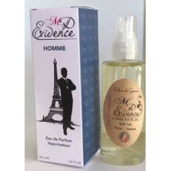 Parfums Evidence Homme